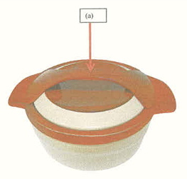 Casserole Device mark 276553 Trademark
