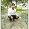 Ashish Kumar Jaysawal