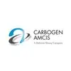 Dishman Carbogen Amcis Limited