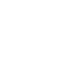 Bayestree India Private Limited