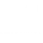 Executable Minds India Private Limited