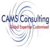 Customised And Assisted Management Solutions Private Limited