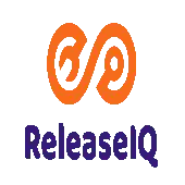 Releaseiq.io India Private Limited