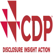 Cdp Operations India Private Limited