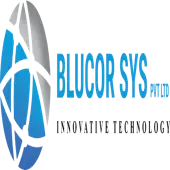 Blucor Systems Private Limited