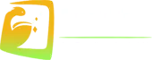 Ducktale It Services Private Limited