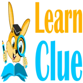 Learn Clue Edtech Private Limited