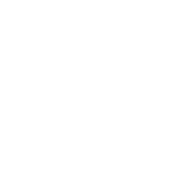 Cyringe Digimedia Private Limited