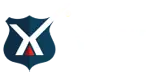 Wexl Edu Private Limited