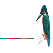 Alderley Engineering Private Limited