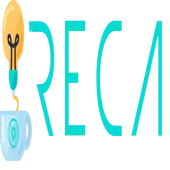 Reca Solution Private Limited