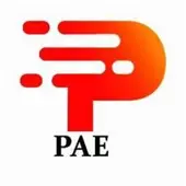 Pae Controls (india) Private Limited