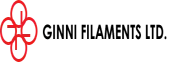 Ginni Consumer Private Limited