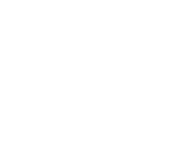 Cosmea Financial Holdings Private Limited