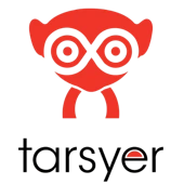 Tarsyer Insights Llp