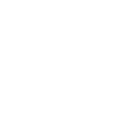 Earth Coin Solutions Private Limited