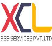 Xcl B2b Services Private Limited