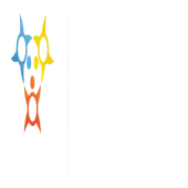 Ace Turtle Omni Private Limited