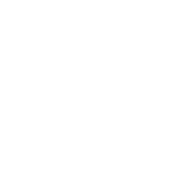 Bandura Tech Private Limited