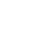 Camisys Private Limited