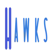 Hawks E-accounting And Consultancy Private Limited