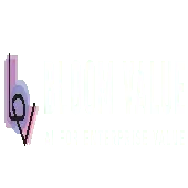 Bloom Value India Private Limited