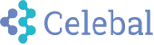 Celebal Cloud Solutions Llp