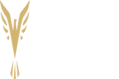 Rbp Fintech Private Limited