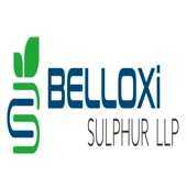 Belloxi Sulphur Llp