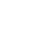 Triumph Ocean Carriers Llp