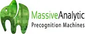 Massive Analytic (india) Private Limited