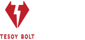 Tesoy Bolt India Private Limited