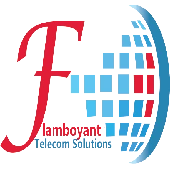 Flamboyant Telecom Solutions (opc) Private Limited