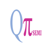 Qpisemi Technology Private Limited