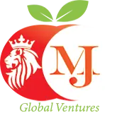 Mj Global Ventures Private Limited