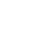 Trogen Business Consultants Llp