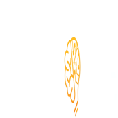 Kurious Learning Labs Private Limited