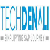 Techdenali Services Llp