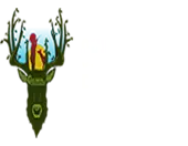 Connectearth Children For Environment Ll P