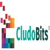 Cludobits Global Private Limited