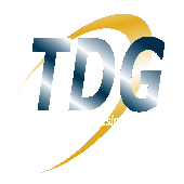 Tdgin Lighting India Private Limited