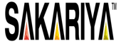 Sakariya Evolve Llp