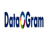 Dataogram Digital Solutions Private Limited