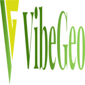 Vibegeo Technologies Private Limited