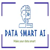 Datasmart Ai Private Limited