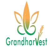 Gajali Healthcare Private Limited