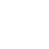 Neft Global (india) Private Limited