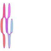 Scalers Ai (india) Private Limited