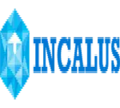 Incalus Management India Private Limited