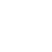 Start With Data India Private Limited